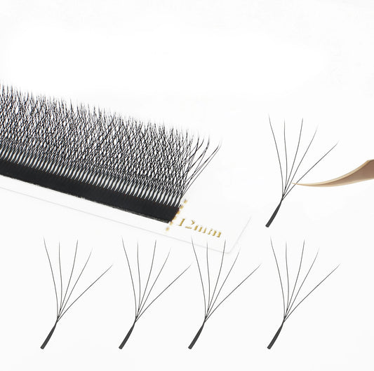 5D - Lash Extensions