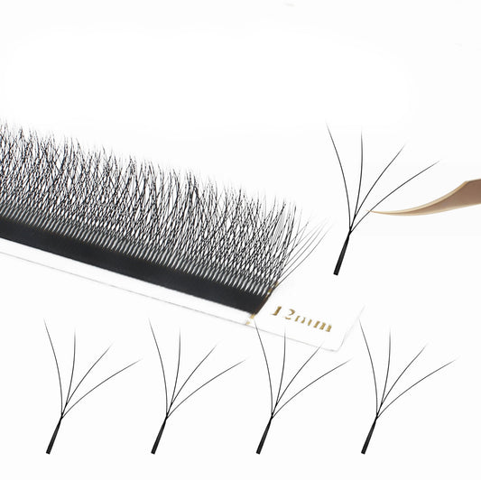 4D - Lash Extensions