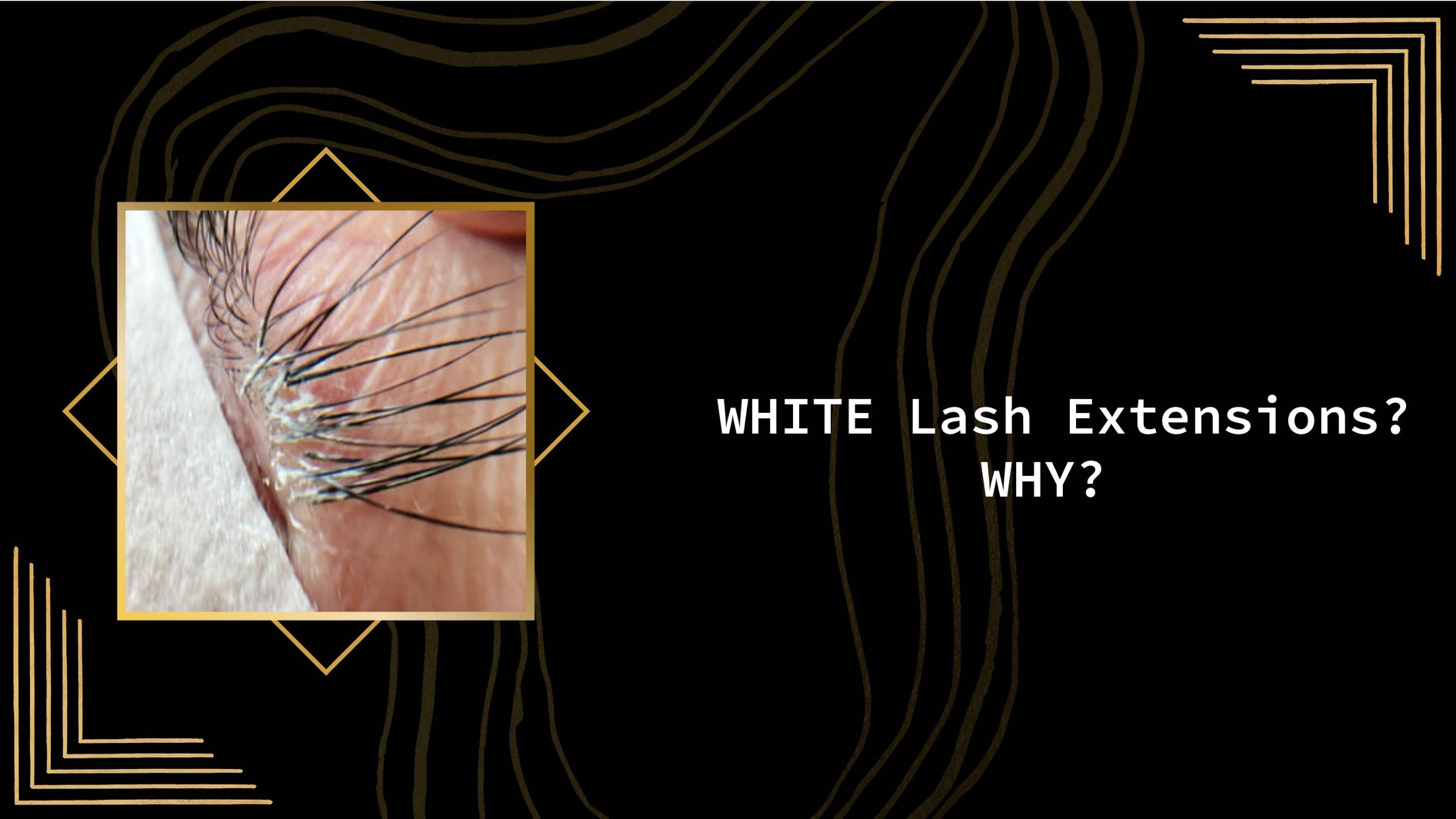 WHITE Lash Extensions?