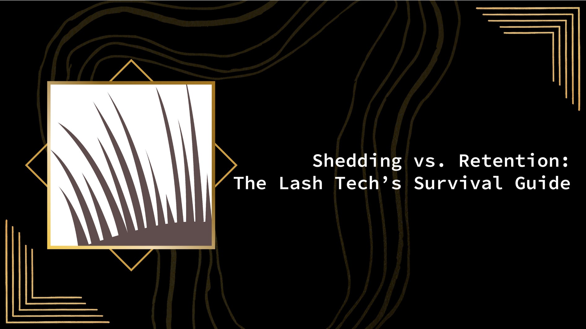 Shedding vs. Retention: The Lash Tech’s Survival Guide