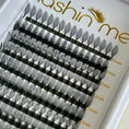 Load image into Gallery viewer, Anime Spire Eyelash Extensions
